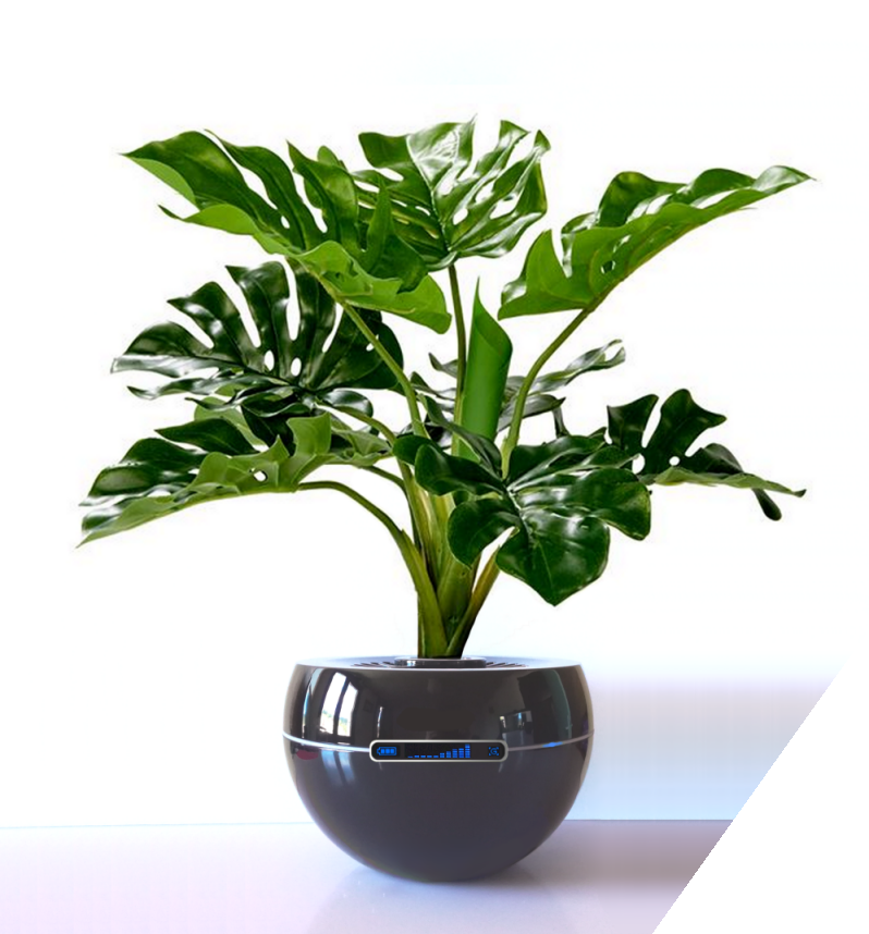 proto005-2mobluetrans-2